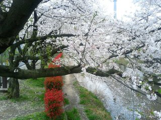 150404-1.jpg