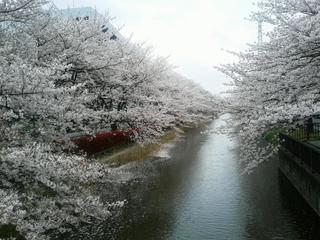 150404-2.jpg