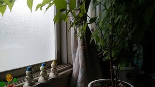 170803.jpg