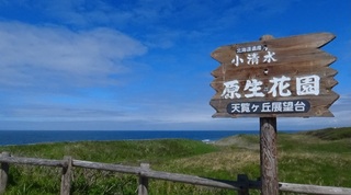 180527.jpg