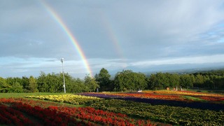 181008-1.jpg