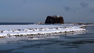 190220.jpg