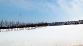190304.jpg