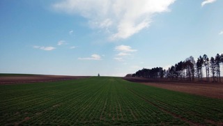 190422-1.jpg