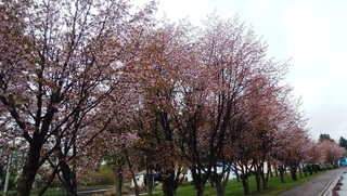 190510.jpg