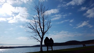 190512-1.jpg
