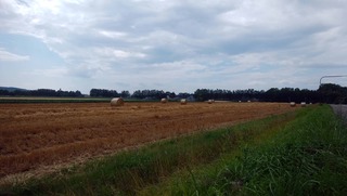 190801.jpg