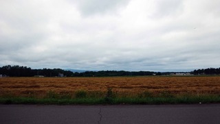 190807.jpg
