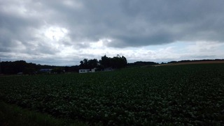 190813.jpg