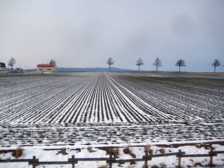 191226.jpg