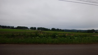 200617.jpg