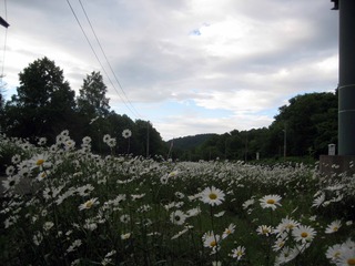 200621.jpg