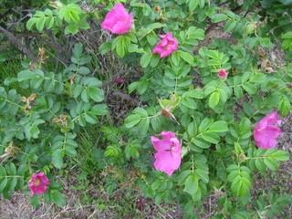200624.jpg