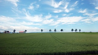 200701.jpg