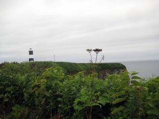 200726.jpg