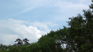 200731.jpg
