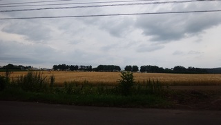 200805.jpg