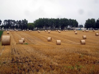 200806.jpg