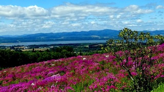 200809-3.jpg