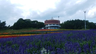 200812.jpg