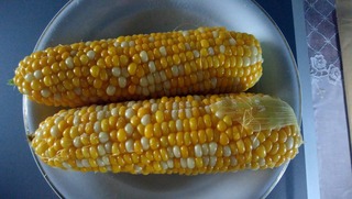 200817.jpg