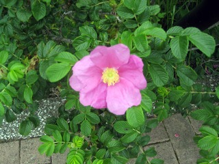 200824.jpg