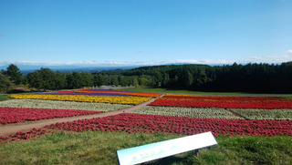 200904.jpg