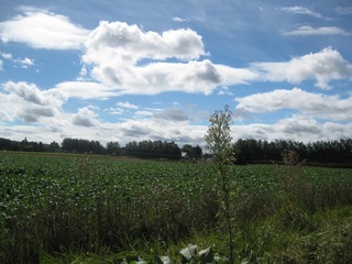200909.jpg