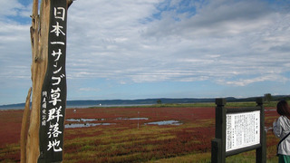 200914.jpg