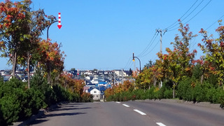 200915.jpg