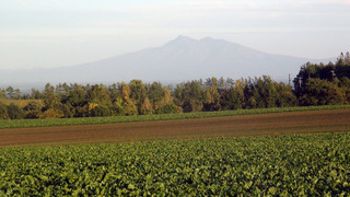 201001.jpg