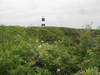 201004.jpg