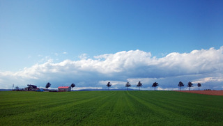 201006.jpg