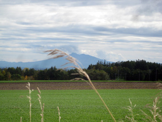 201009.jpg