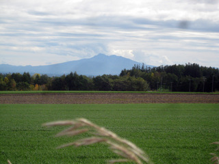 201010.jpg