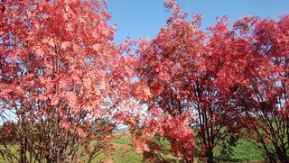 201025.jpg