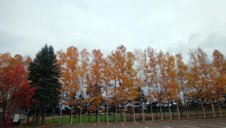 201028.jpg