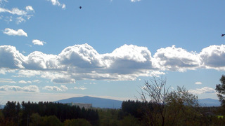 201029.jpg