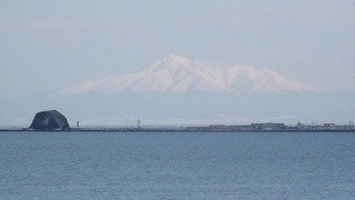 DSC00394.jpg