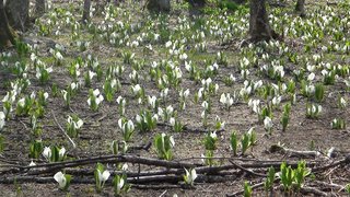 DSC01018.jpg