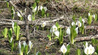 DSC01020.jpg