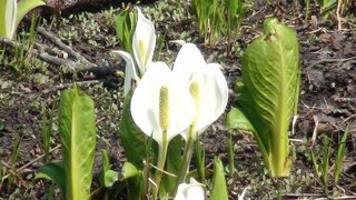 DSC01021.jpg