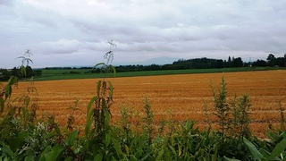 DSC_0125.jpg