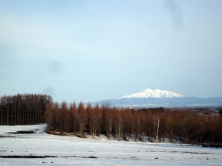 I180313.jpg