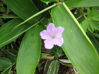 I200725.jpg